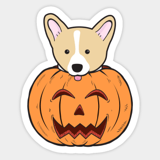 Halloween Cute Corgi Stuck In A Pumpkin Head. Sticker
